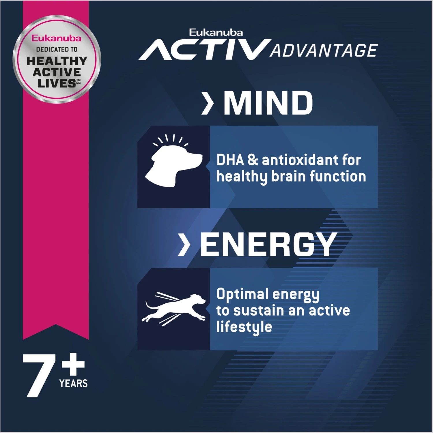 Eukanuba Senior Small Breed Dry Dog Food 4 Eukanuba Senior Small Breed Dry Dog Food - Image 4