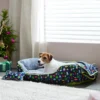 Pixar Toy Story Pet Bed & Gift Set