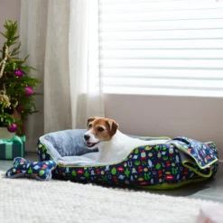 Pixar Toy Story Pet Bed & Gift Set