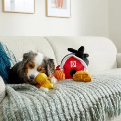 Frisco Fall Farmhouse Hide & Seek Puzzle Plush Squeaky Dog Toy -ROYAL CANIN Shop 285629 PT3. AC SS1800 V1629725107