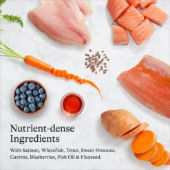 American Journey Grain-Free With Salmon, Whitefish & Trout Dry Dog Food, 24-lb Bag -ROYAL CANIN Shop 291324 PT5. AC SS1800 V1680545233