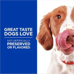 Hill's Science Diet Adult Sensitive Stomach & Sensitive Skin Chicken Recipe Dry Dog Food & Hill's Natural Soft Savories With Peanut Butter & Banana Dog Treats -ROYAL CANIN Shop 293202 PT6. AC SS1800 V1639092134