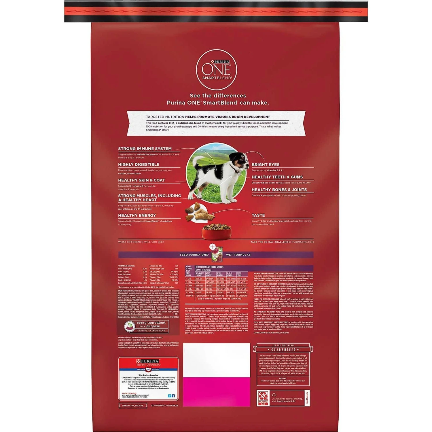 Purina ONE +Plus Natural High Protein Healthy Puppy Formula Dry Puppy Food & Wellness Soft Puppy Bites Lamb & Salmon Recipe Grain-Free Natural Dog Treats 3 Purina ONE +Plus Natural High Protein Healthy Puppy Formula Dry Puppy Food & Wellness Soft Puppy Bites Lamb & Salmon Recipe Grain-Free Natural Dog Treats - Image 3