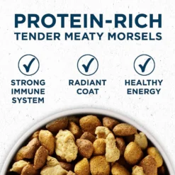 Purina ONE Natural Large Breed +Plus Formula Dry Dog Food & Milk-Bone Original Large Biscuit Dog Treats -ROYAL CANIN Shop 293546 PT3. AC SS1800 V1620089839