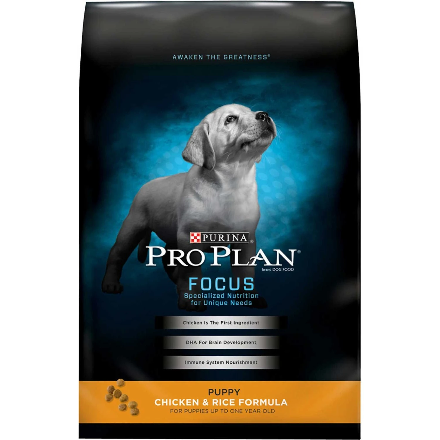 Purina Pro Plan High Protein Chicken & Rice Formula Dry Puppy Food & Wellness Soft Puppy Bites Lamb & Salmon Recipe Grain-Free Natural Dog Treats 2 Purina Pro Plan High Protein Chicken & Rice Formula Dry Puppy Food & Wellness Soft Puppy Bites Lamb & Salmon Recipe Grain-Free Natural Dog Treats - Image 2