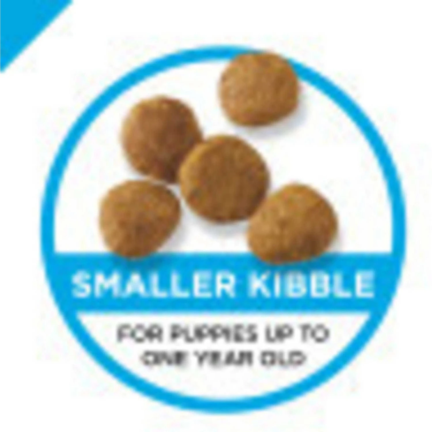 Purina Pro Plan High Protein Chicken & Rice Formula Dry Puppy Food & Wellness Soft Puppy Bites Lamb & Salmon Recipe Grain-Free Natural Dog Treats 4 Purina Pro Plan High Protein Chicken & Rice Formula Dry Puppy Food & Wellness Soft Puppy Bites Lamb & Salmon Recipe Grain-Free Natural Dog Treats - Image 4