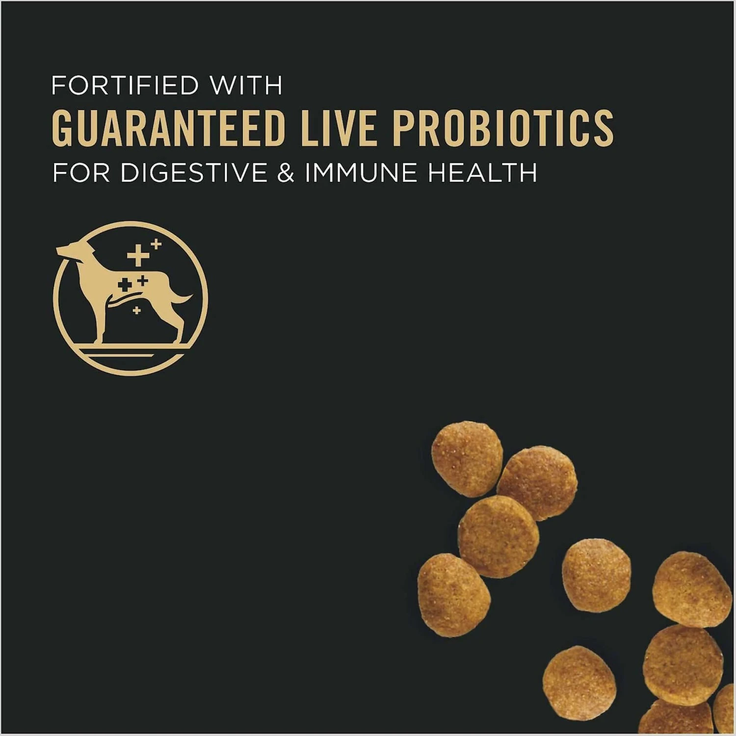 Purina Pro Plan High Protein DHA Lamb & Rice Formula Puppy Food & Wellness Soft Puppy Bites Lamb & Salmon Recipe Grain-Free Natural Dog Treats 4 Purina Pro Plan High Protein DHA Lamb & Rice Formula Puppy Food & Wellness Soft Puppy Bites Lamb & Salmon Recipe Grain-Free Natural Dog Treats - Image 4