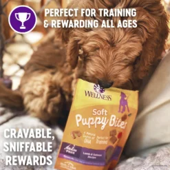 Purina Pro Plan Puppy Sensitive Skin & Stomach Salmon & Rice Dry Dog Food & Wellness Soft Puppy Bites Lamb & Salmon Recipe Grain-Free Natural Dog Treats -ROYAL CANIN Shop 293672 PT4. AC SS1800 V1620013946