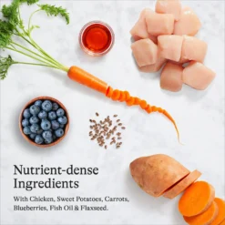 American Journey Puppy Chicken & Sweet Potato Recipe Grain-Free Dry Dog Food & Tylee's Freeze-Dried Meals For Dogs, Chicken & Salmon Recipe -ROYAL CANIN Shop 297808 PT4. AC SS1800 V1694613034