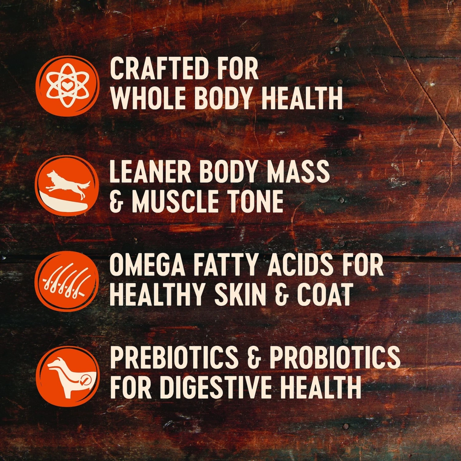 Wellness CORE Grain-Free Reduced Fat Turkey & Chicken Recipe Dry Dog Food & Wellness CORE Healthy Joints Beef Grain-Free Crunchy Dog Treats 4 Wellness CORE Grain-Free Reduced Fat Turkey & Chicken Recipe Dry Dog Food & Wellness CORE Healthy Joints Beef Grain-Free Crunchy Dog Treats - Image 4