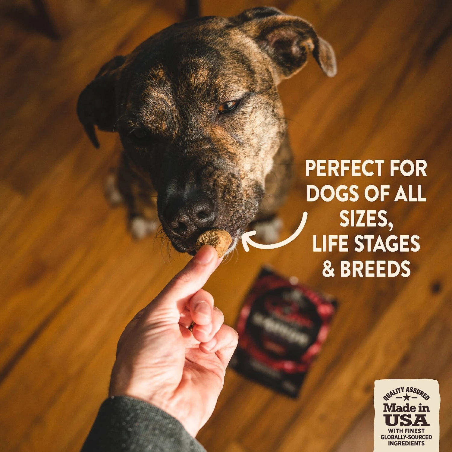 Wellness CORE Grain-Free Reduced Fat Turkey & Chicken Recipe Dry Dog Food & Wellness CORE Healthy Joints Beef Grain-Free Crunchy Dog Treats 8 Wellness CORE Grain-Free Reduced Fat Turkey & Chicken Recipe Dry Dog Food & Wellness CORE Healthy Joints Beef Grain-Free Crunchy Dog Treats - Image 8