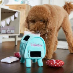 Frisco Valentine Love Letters Hide & Seek Puzzle Plush Squeaky Dog Toy -ROYAL CANIN Shop 298929 PT3. AC SS1800 V1638987486