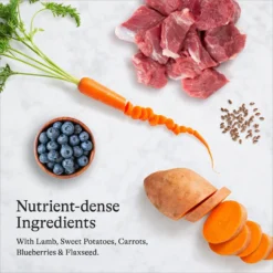 American Journey Puppy Lamb & Sweet Potato Recipe Grain-Free Dry Dog Food & American Journey Beef Recipe Grain-Free Soft & Chewy Training Bits Dog Treats -ROYAL CANIN Shop 301766 PT4. AC SS1800 V1694612271