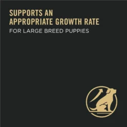 Purina Pro Plan High Protein Chicken & Rice Formula Large Breed Dry Puppy Food & Wellness Soft Puppy Bites Lamb & Salmon Recipe Grain-Free Natural Dog Treats 17 Purina Pro Plan High Protein Chicken & Rice Formula Large Breed Dry Puppy Food & Wellness Soft Puppy Bites Lamb & Salmon Recipe Grain-Free Natural Dog Treats -ROYAL CANIN Shop 302104 PT8. AC SS1800 V1658201275