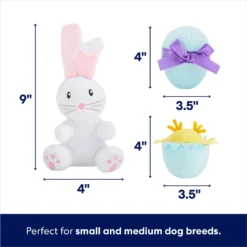 Frisco Easter Basket Hide & Seek Puzzle Plush Squeaky Dog Toy 8 Frisco Easter Basket Hide & Seek Puzzle Plush Squeaky Dog Toy -ROYAL CANIN Shop 304982 PT2. AC SS1800 V1702665735
