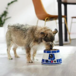 STAR WARS R2-D2 Elevated Melamine Stainless Steel Dog & Cat Bowl, 1.5 Cup -ROYAL CANIN Shop 315278 PT2. AC SS1800 V1647281494