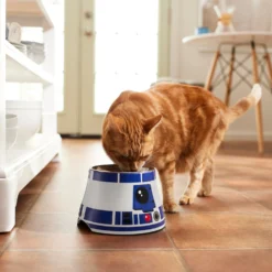 STAR WARS R2-D2 Elevated Melamine Stainless Steel Dog & Cat Bowl, 1.5 Cup -ROYAL CANIN Shop 315278 PT3. AC SS1800 V1647283296