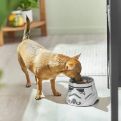 STAR WARS STORMTROOPER Melamine Elevated Stainless Steel Dog & Cat Bowl, 1.5 Cup -ROYAL CANIN Shop 315280 PT2. AC SS1800 V1647283853