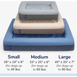 Casper Bolster Dog Bed -ROYAL CANIN Shop 316201 PT4. AC SS1800 V1651786335