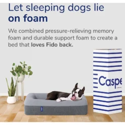 Casper Bolster Dog Bed -ROYAL CANIN Shop 316201 PT6. AC SS1800 V1651788108