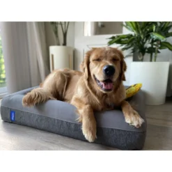 Casper Bolster Dog Bed -ROYAL CANIN Shop 316201 PT7. AC SS1800 V1657656805