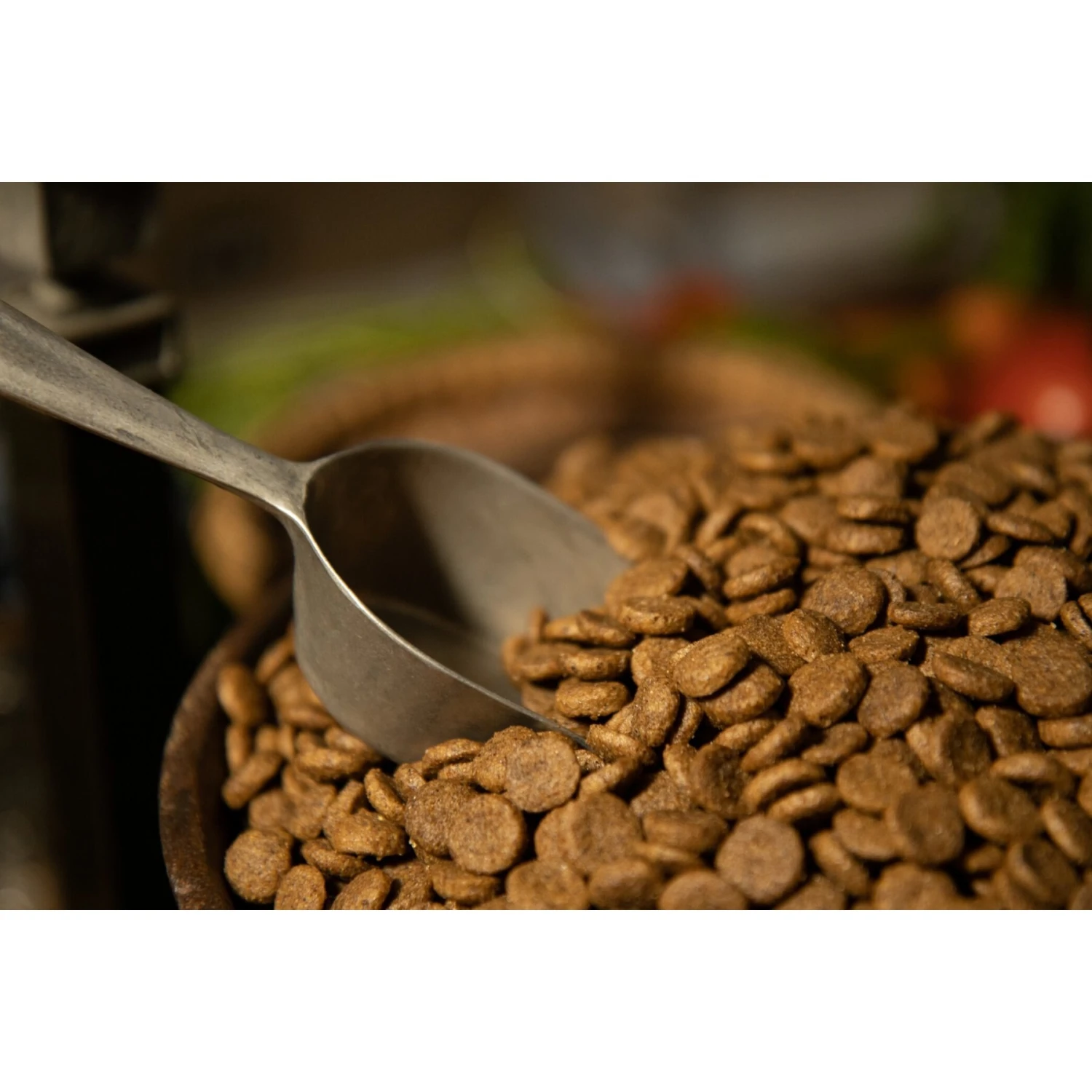 Regal Pet Foods Lean Recipe Dry Dog Food 4 Regal Pet Foods Lean Recipe Dry Dog Food - Image 4