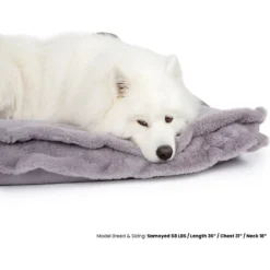 Nandog Cloud Collection Pillow Dog Bed -ROYAL CANIN Shop 321794 PT2. AC SS1800 V1683313180