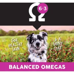 Ultimates Lamb Meal & Brown Rice Dry Dog Food -ROYAL CANIN Shop 322683 PT6. AC SS1800 V1635183095