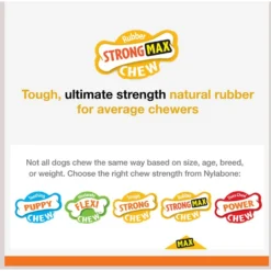 Nylabone Strong MAX Chew Cone Stuffable Chew Toy For Dogs MAX Rubber Stuffable Cone Beef Max 12 Nylabone Strong MAX Chew Cone Stuffable Chew Toy For Dogs MAX Rubber Stuffable Cone Beef Max -ROYAL CANIN Shop 329491 PT3. AC SS1800 V1696515981