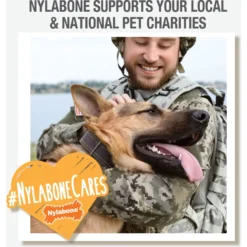 Nylabone Strong MAX Chew Cone Stuffable Chew Toy For Dogs MAX Rubber Stuffable Cone Beef Max 15 Nylabone Strong MAX Chew Cone Stuffable Chew Toy For Dogs MAX Rubber Stuffable Cone Beef Max -ROYAL CANIN Shop 329491 PT6. AC SS1800 V1696516044