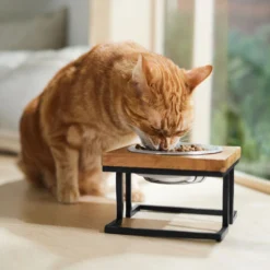 Frisco Premium Wood Elevated Single Dog & Cat Bowl -ROYAL CANIN Shop 331493 PT3. AC SS1800 V1657656892