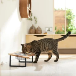 Frisco Premium Wood Elevated Bone Shape Stainless Steel Double Diner Dog & Cat Bowl, 3 Cup -ROYAL CANIN Shop 331497 PT3. AC SS1800 V1657656892