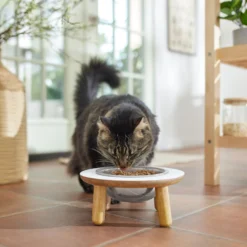 Frisco Premium Round Shape Elevated Single Dog & Cat Bowl -ROYAL CANIN Shop 331502 PT3. AC SS1800 V1657656892