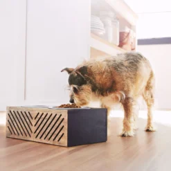 Frisco Premium Wood Elevated Stainless Steel Double Diner Dog & Cat Bowl, Black, 3 Cup -ROYAL CANIN Shop 331509 PT2. AC SS1800 V1657656894