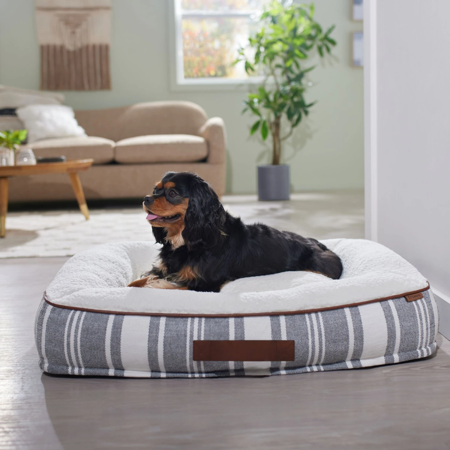 Frisco Farmhouse Rectangular Bolster Dog Bed W/ Removable Cover 1 Frisco Farmhouse Rectangular Bolster Dog Bed W/ Removable Cover