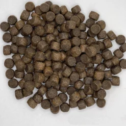 Team Dog Salmon Meal & Herring Meal 26/20 Essential Blend Premium Dry Dog Food, 33-lb Bag 11 Team Dog Salmon Meal & Herring Meal 26/20 Essential Blend Premium Dry Dog Food, 33-lb Bag -ROYAL CANIN Shop 342072 PT2. AC SS1800 V1635514889