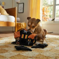 Frisco Halloween Haunted House Hide & Seek Puzzle Plush Squeaky Dog Toy 9 Frisco Halloween Haunted House Hide & Seek Puzzle Plush Squeaky Dog Toy -ROYAL CANIN Shop 344136 PT3. AC SS1800 V1657657042
