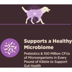 Wellness CORE Digestive Health Age Advantage Senior Chicken & Brown Rice Dry Dog Food -ROYAL CANIN Shop 347656 PT4. AC SS1800 V1638465814