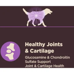 Wellness CORE Digestive Health Age Advantage Senior Chicken & Brown Rice Dry Dog Food -ROYAL CANIN Shop 347656 PT6. AC SS1800 V1638467491