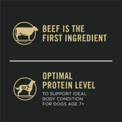 Purina Pro Plan 7+ Complete Essentials Shredded Blend Beef & Rice Formula High Protein Dog Food -ROYAL CANIN Shop 352980 PT6. AC SS1800 V1649201226