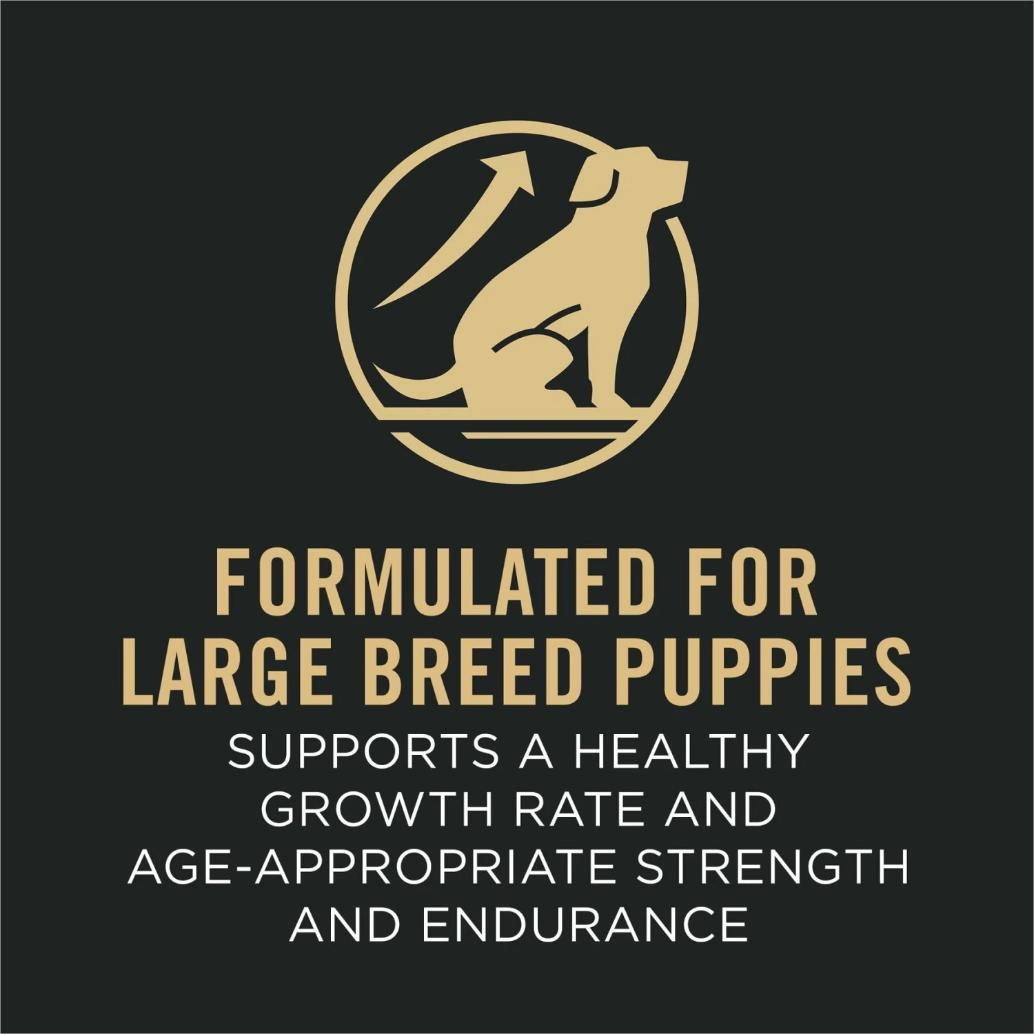 Purina Pro Plan Sport Development Large Breed High-Protein 30/18 Chicken & Rice Formula Puppy Food 5 Purina Pro Plan Sport Development Large Breed High-Protein 30/18 Chicken & Rice Formula Puppy Food - Image 5