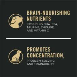 Purina Pro Plan Sport Development Large Breed High-Protein 30/18 Chicken & Rice Formula Puppy Food 17 Purina Pro Plan Sport Development Large Breed High-Protein 30/18 Chicken & Rice Formula Puppy Food -ROYAL CANIN Shop 352983 PT8. AC SS1800 V1661831642