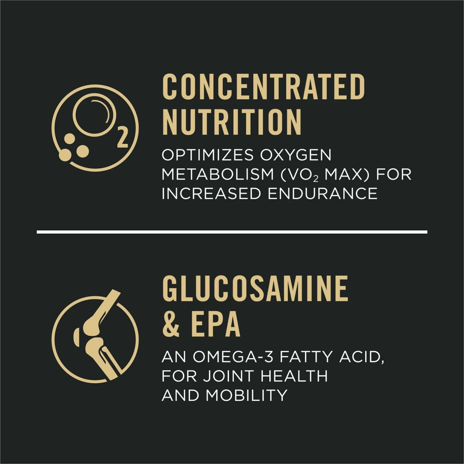 Purina Pro Plan Sport Performance Senior High-Protein 30/17 Chicken & Rice Formula Dog Food 9 Purina Pro Plan Sport Performance Senior High-Protein 30/17 Chicken & Rice Formula Dog Food - Image 9