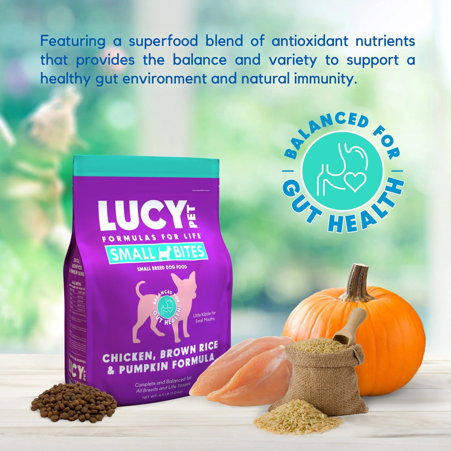 Lucy Pet Products Chicken, Brown Rice & Pumpkin Limited Ingredient Diet Small Bites Dog Food, 4.5-lbs Bag 3 Lucy Pet Products Chicken, Brown Rice & Pumpkin Limited Ingredient Diet Small Bites Dog Food, 4.5-lbs Bag - Image 3