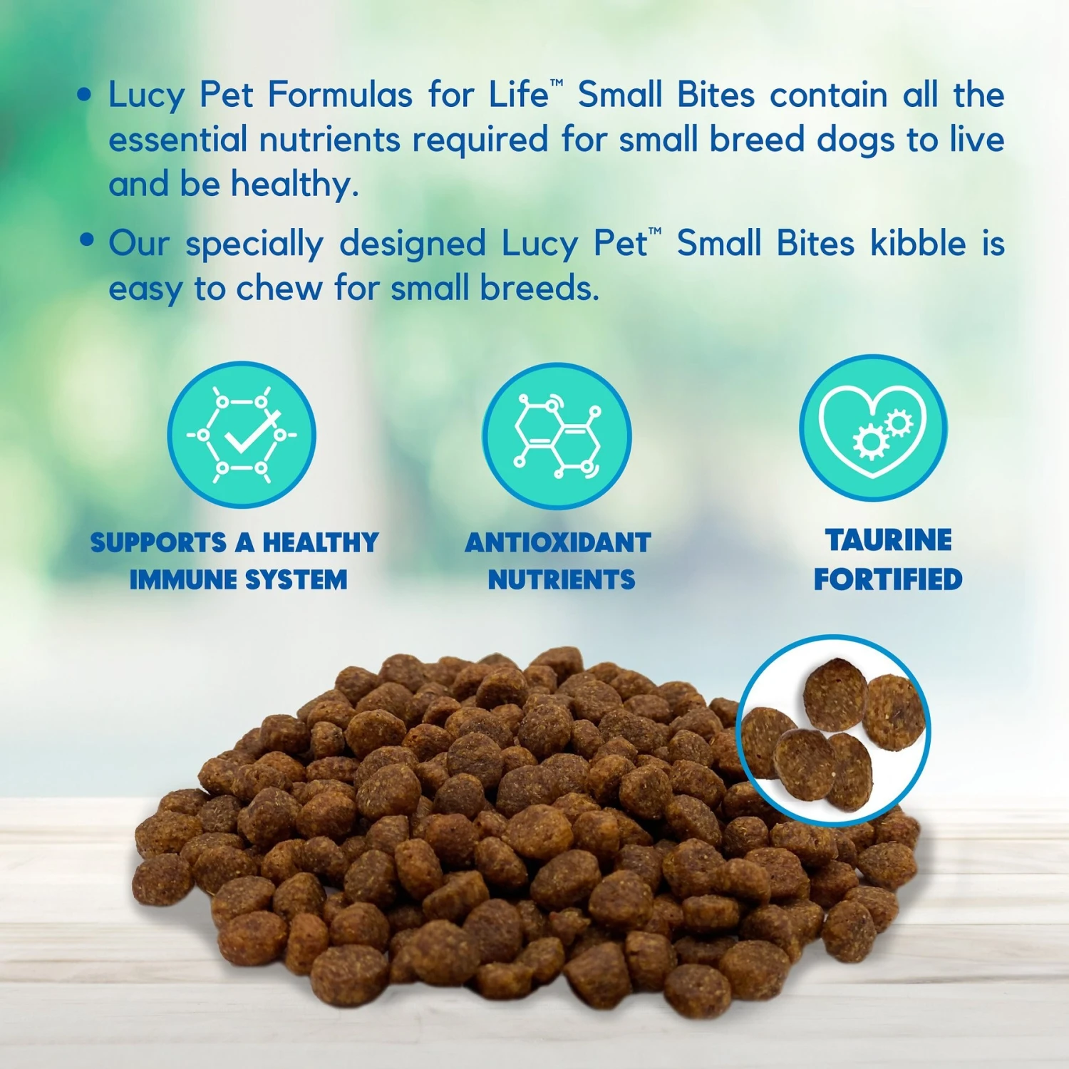 Lucy Pet Products Chicken, Brown Rice & Pumpkin Limited Ingredient Diet Small Bites Dog Food, 4.5-lbs Bag 4 Lucy Pet Products Chicken, Brown Rice & Pumpkin Limited Ingredient Diet Small Bites Dog Food, 4.5-lbs Bag - Image 4