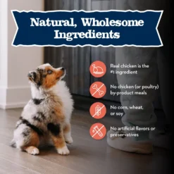 Blue Buffalo Baby Blue Large Breed Healthy Growth Formula Natural Chicken & Brown Rice Recipe Puppy Dry Food, 24-lb Bag -ROYAL CANIN Shop 354132 PT5. AC SS1800 V1646091698