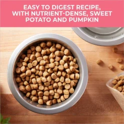 Nature's Recipe Grain-Free Salmon, Sweet Potato & Pumpkin Recipe Dry Dog Food -ROYAL CANIN Shop 355834 PT2. AC SS1800 V1640643409