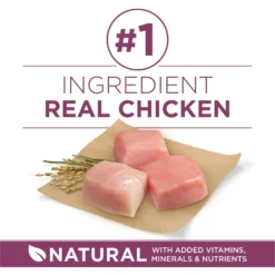 Purina ONE +Plus High Protein Healthy Puppy Formula Dry Puppy Food -ROYAL CANIN Shop 355892 PT3. AC SS1800 V1640227661