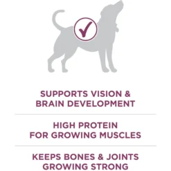 Purina ONE +Plus High Protein Healthy Puppy Formula Dry Puppy Food -ROYAL CANIN Shop 355892 PT4. AC SS1800 V1640206599