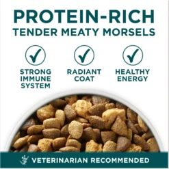 Purina ONE +Plus Natural Large Breed Formula Dry Puppy Food -ROYAL CANIN Shop 355894 PT2. AC SS1800 V1676318636